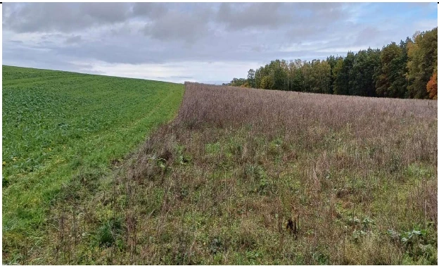 land- und forstwirtschaftlich genutztes Grundstück in Kraftsdorf — Bild 3