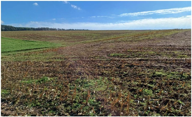 land- und forstwirtschaftlich genutztes Grundstück in Kraftsdorf — Bild 3