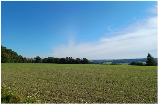 land- und forstwirtschaftlich genutztes Grundstück in Kraftsdorf