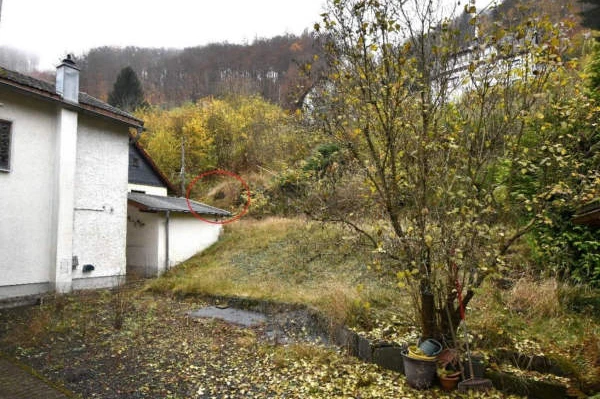 land- und forstwirtschaftlich genutztes Grundstück, land- und forstwirtschaftlich genutztes Grundstück, Einfamilienhaus in Sonneberg — Bild 3