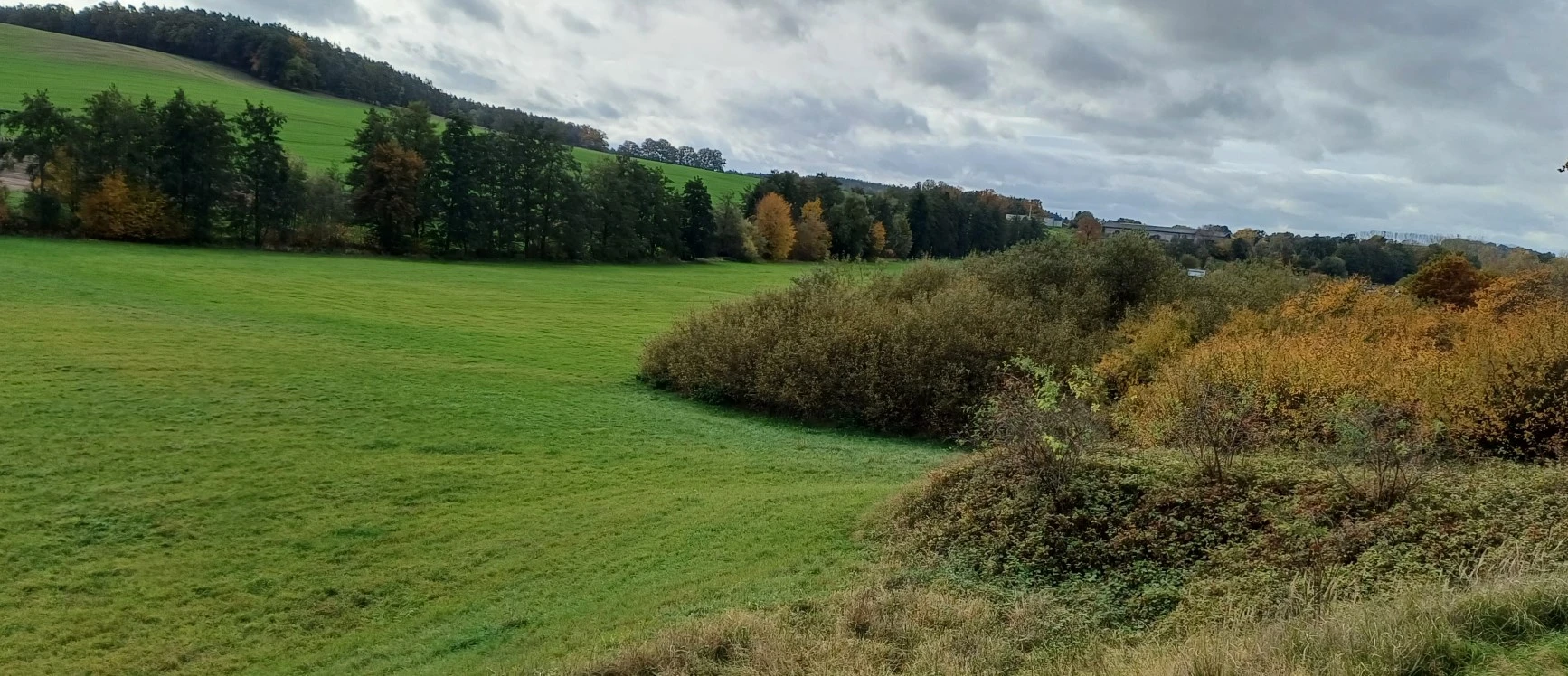land- und forstwirtschaftlich genutztes Grundstück in Geißen