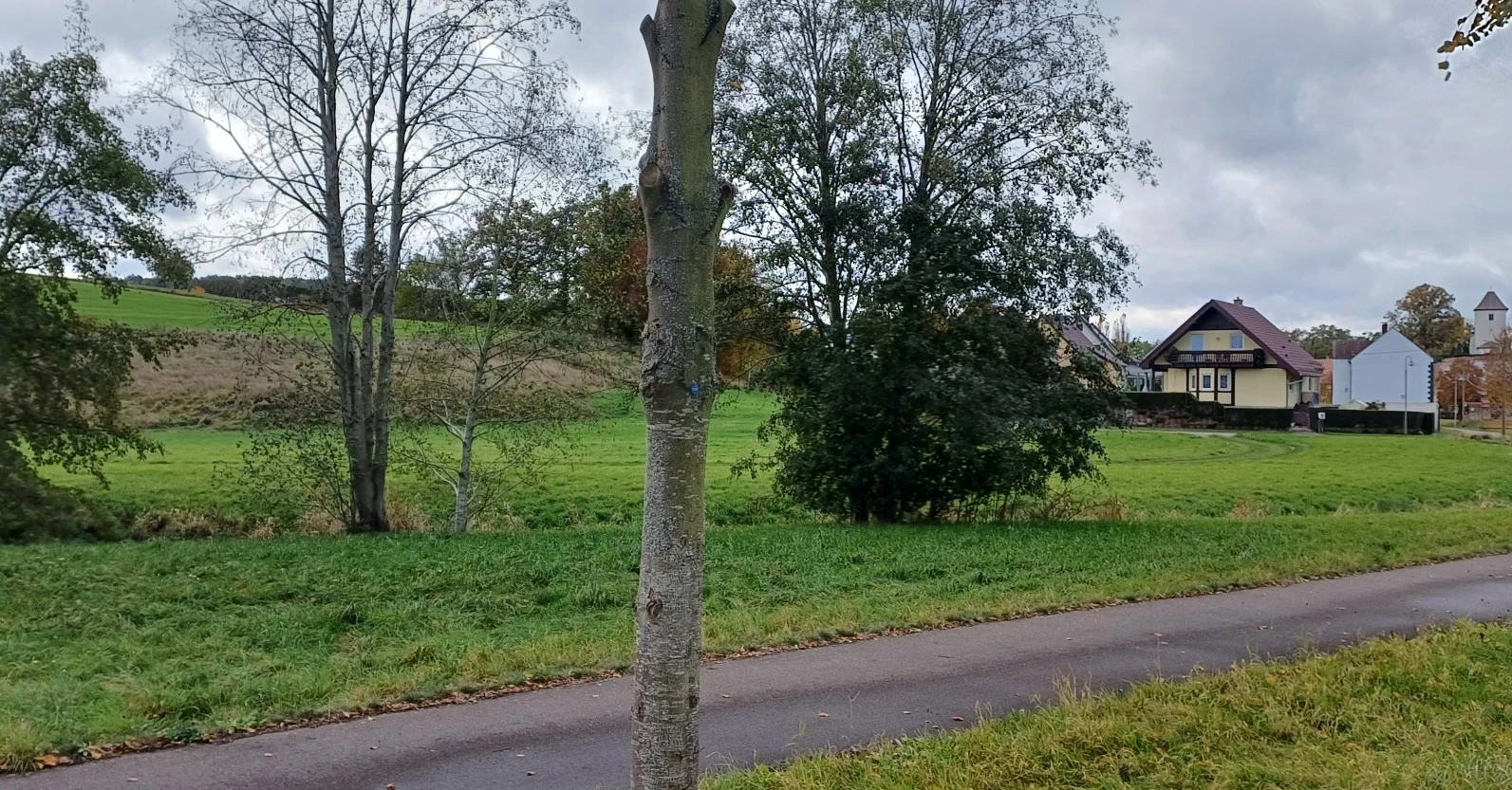 land- und forstwirtschaftlich genutztes Grundstück in Geißen — Bild 2