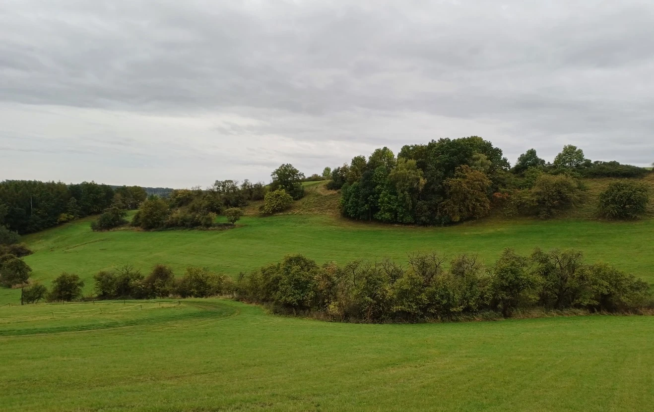 land- und forstwirtschaftlich genutztes Grundstük in Kraftsdorf — Bild 2