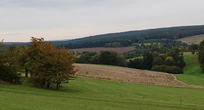 land- und forstwirtschaftlich genutztes Grundstük in Kraftsdorf
