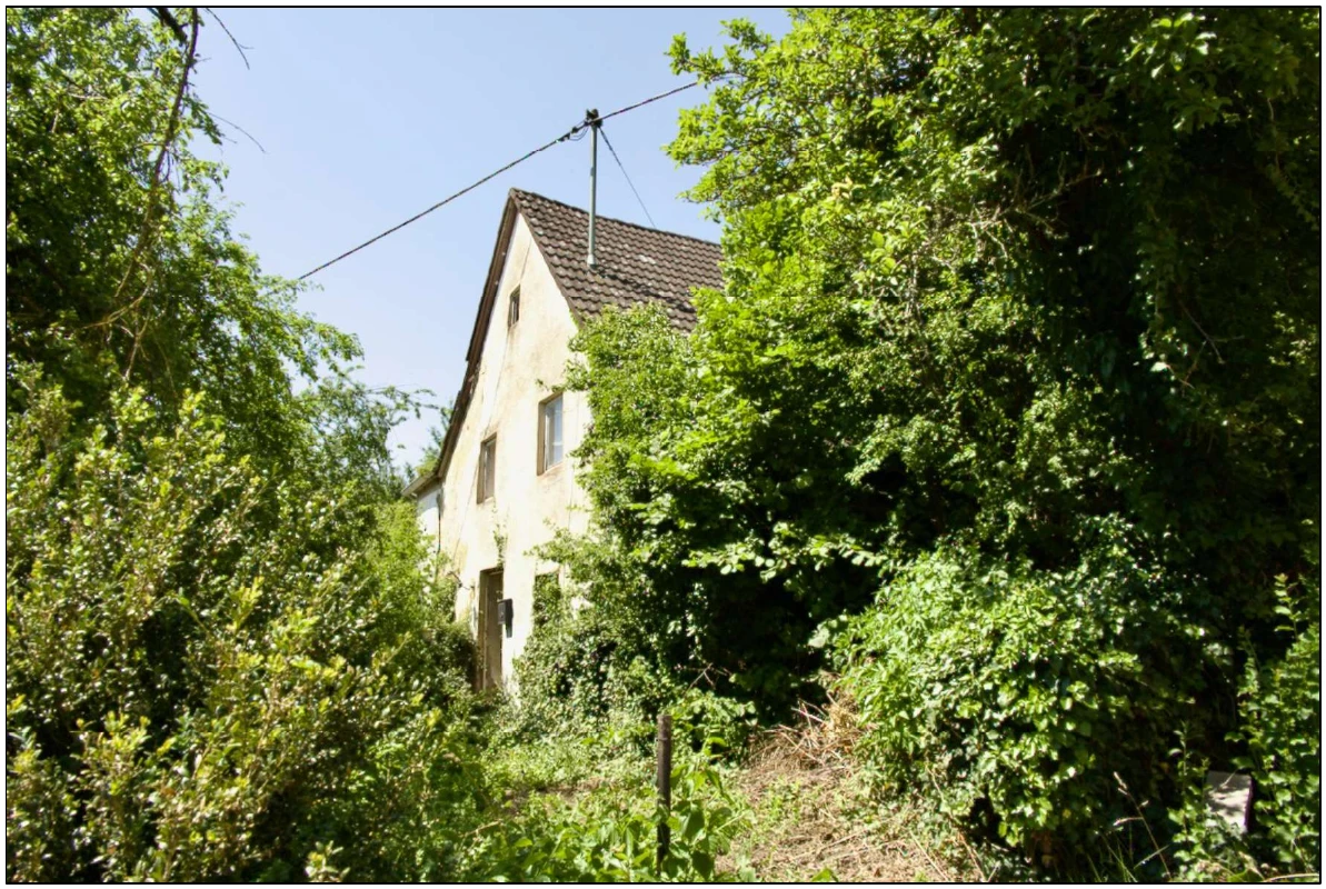 Einfamilienhaus in Burgmannshausen — Bild 2