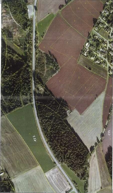 Wohnbauland und Rohbauland mit Baumbestand in Döbra