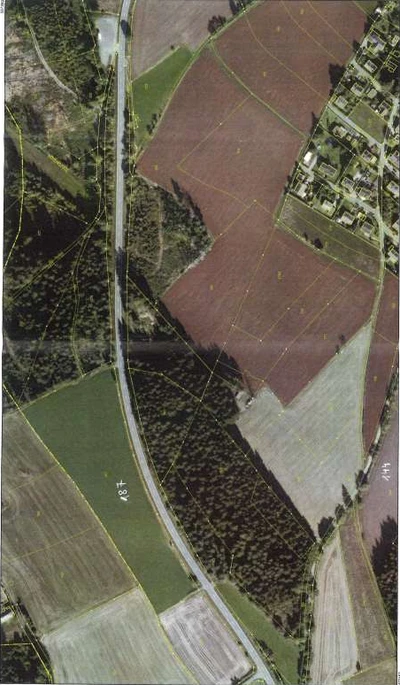 Wohnbauland und Rohbauland mit Baumbestand in Döbra