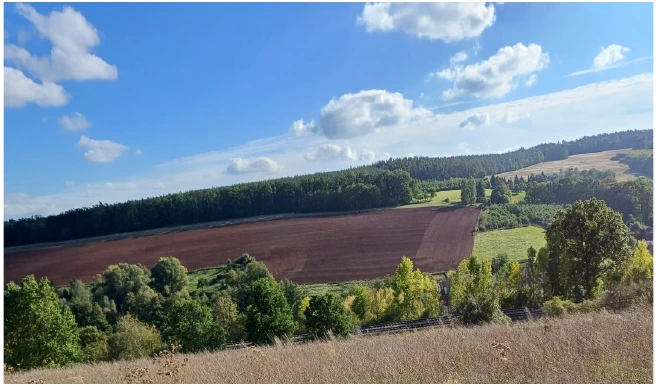 land- und forstwirtschaftlich genutztes Grundstück in Kraftsdorf — Bild 3