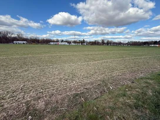 land- und forstwirtschaftlich genutztes Grundstück in Neuburg — Bild 2