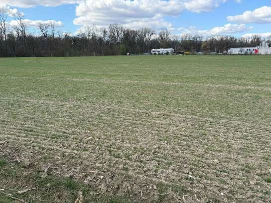 land- und forstwirtschaftlich genutztes Grundstück in Neuburg — Bild 3