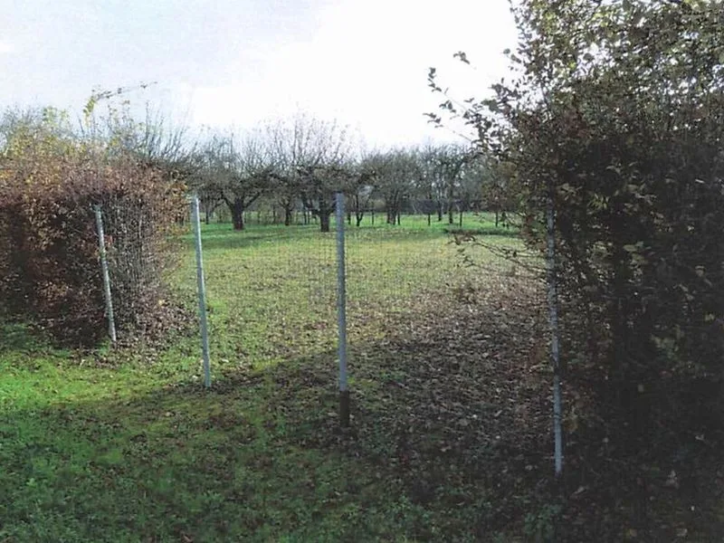 Kleingarten/Streuobstwiese in Horrheim — Bild 2