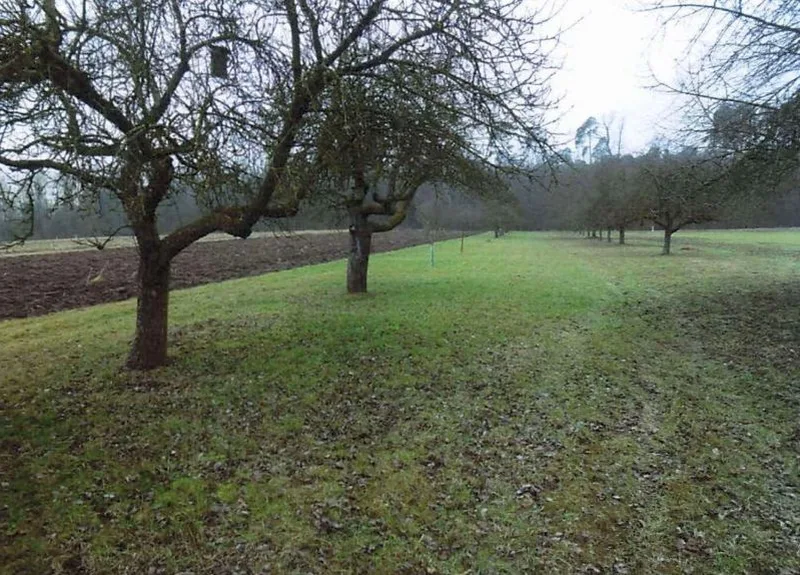 Streuobstwiese in Hohenhaslach