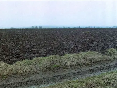 Landwirtschaftsflächen in Hohenhaslach