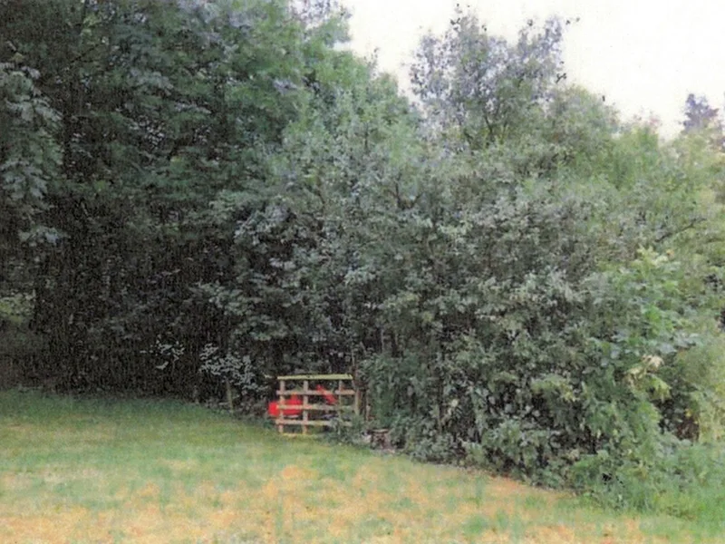 Eigengenutzes Garten-/Freizeitgrundstück in Neuenstadt — Bild 3
