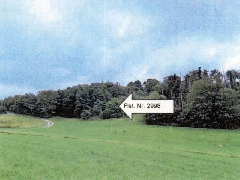 Eigengenutzes Garten-/Freizeitgrundstück in Neuenstadt — Bild 2